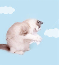 Load image into Gallery viewer, PURLAB Sunny Doll Cat Teaser Toy With Catnips