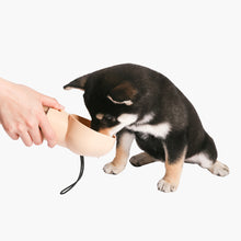 Load image into Gallery viewer, PIDAN Pet Travel Drinking Bottle & Filter