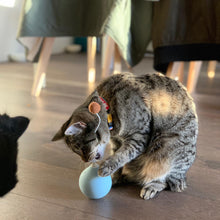 Load image into Gallery viewer, PIDAN Balloon Electric Tumbler Teaser Cat Toy