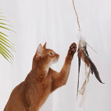 將圖片載入圖庫檢視器 ZEZE Wooden Cat Teaser With Feather