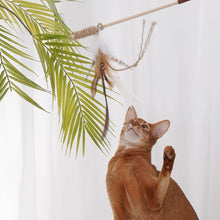 將圖片載入圖庫檢視器 ZEZE Wooden Cat Teaser With Feather