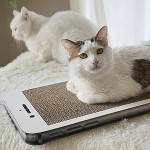 MISSPET Iphone Cat Scratcher