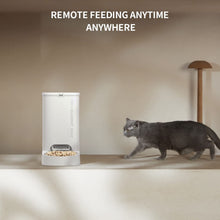 Load image into Gallery viewer, PETKIT Fresh Element SOLO Smart Pet Feeder
