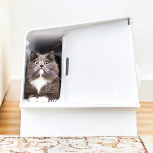 PETKIT WhiteVilla Cat Litter Box