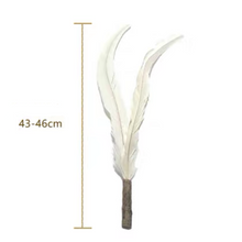 將圖片載入圖庫檢視器 PETIO Pheasant Feather Cat Teaser With Silvervine 170cm
