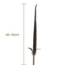 將圖片載入圖庫檢視器 PETIO Pheasant Feather Cat Teaser With Silvervine 170cm
