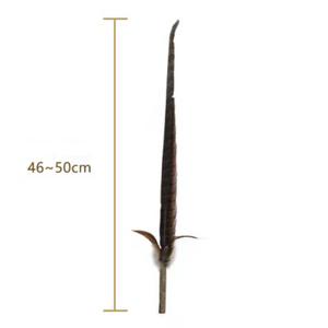 PETIO Pheasant Feather Cat Teaser With Silvervine 170cm