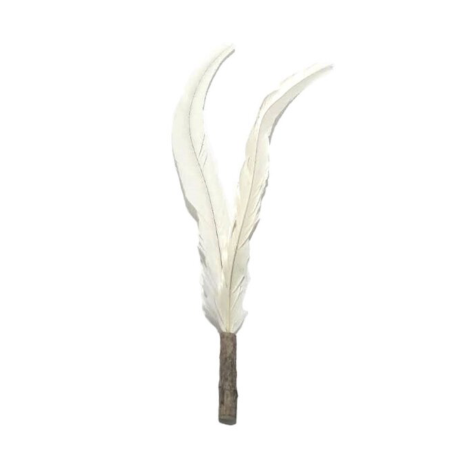 PETIO Pheasant Feather Cat Teaser With Silvervine 170cm