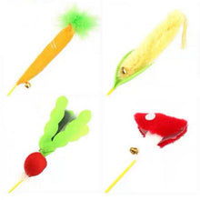 Load image into Gallery viewer, PETZROUTE Vegetable Cat Teaser Toy
